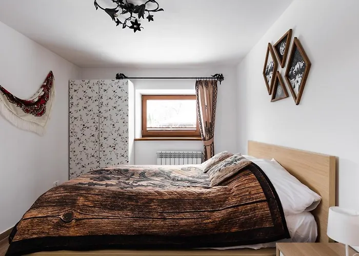 公寓 Na Wilcznik 扎科帕内